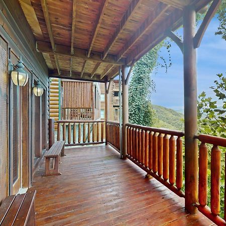 Black Bear Overlook Pigeon Forge Extérieur photo